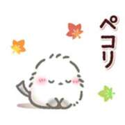 ヒメ日記 2025/11/15 13:42 投稿 橋本若菜 五十路マダム 仙台店