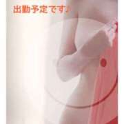 ヒメ日記 2025/05/20 16:06 投稿 藤原つばき 五十路マダム 仙台店