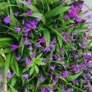 ヒメ日記 2025/07/20 23:18 投稿 まい ギャルズネットワーク神戸