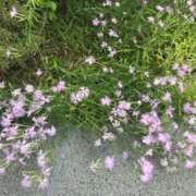 ヒメ日記 2025/09/29 23:29 投稿 まい ギャルズネットワーク神戸