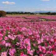 ヒメ日記 2025/10/16 10:27 投稿 まい ギャルズネットワーク神戸