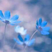 ヒメ日記 2026/01/10 23:10 投稿 まい ギャルズネットワーク神戸