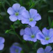 ヒメ日記 2026/02/18 00:25 投稿 まい ギャルズネットワーク神戸