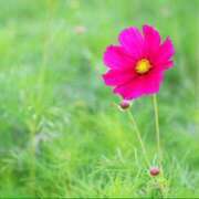 ヒメ日記 2026/03/11 17:06 投稿 まい ギャルズネットワーク神戸