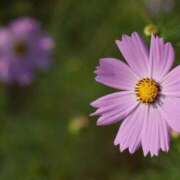 まい 埋めてくださいませ ギャルズネットワーク神戸