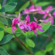 まい おせんべい🍘 ギャルズネットワーク神戸