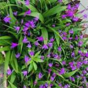 ヒメ日記 2025/09/23 01:06 投稿 まい クラブバレンタイン神戸西店