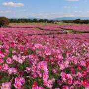 ヒメ日記 2025/11/06 21:54 投稿 まい クラブバレンタイン神戸西店
