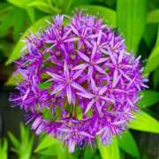 ヒメ日記 2026/02/22 01:23 投稿 まい クラブバレンタイン神戸西店