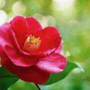 ヒメ日記 2026/02/23 20:08 投稿 まい クラブバレンタイン神戸西店