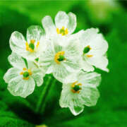 ヒメ日記 2026/02/23 21:49 投稿 まい クラブバレンタイン神戸西店