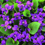 ヒメ日記 2026/02/23 23:56 投稿 まい クラブバレンタイン神戸西店