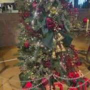 ヒメ日記 2025/11/14 13:07 投稿 玉城(たましろ) 人妻出逢い会 百合の園 山の手本店