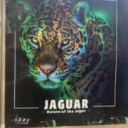 ヒメ日記 2026/03/04 12:47 投稿 玉城(たましろ) 人妻出逢い会 百合の園 山の手本店