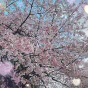 ヒメ日記 2025/03/18 23:43 投稿 レイミ 赤坂美療