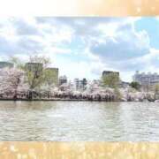 ヒメ日記 2025/04/08 10:41 投稿 レイミ 赤坂美療