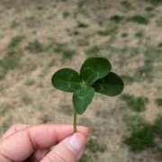 ヒメ日記 2025/06/21 18:28 投稿 藤山多美 五十路マダム　広島店