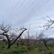 ヒメ日記 2026/04/05 13:55 投稿 けいこ 福島美女図鑑