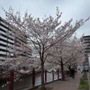 ヒメ日記 2025/03/31 10:53 投稿 ちな エマニエル