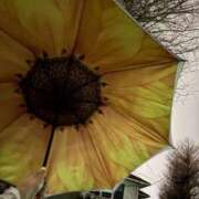 ヒメ日記 2025/04/01 19:12 投稿 ちな エマニエル