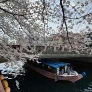 ヒメ日記 2025/04/05 17:22 投稿 ちな エマニエル