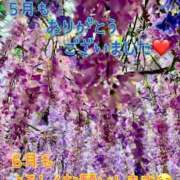 ヒメ日記 2025/06/01 08:32 投稿 ちな エマニエル