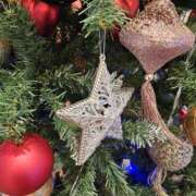 ヒメ日記 2024/12/24 23:17 投稿 まや 月兎（GET）