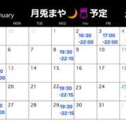 ヒメ日記 2025/01/04 00:18 投稿 まや 月兎（GET）