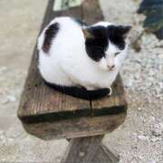 ヒメ日記 2025/02/22 15:30 投稿 まや 月兎（GET）