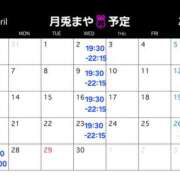 ヒメ日記 2025/04/02 17:31 投稿 まや 月兎（GET）