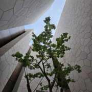 ヒメ日記 2025/05/28 19:27 投稿 まや 月兎（GET）