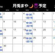 ヒメ日記 2025/05/29 12:29 投稿 まや 月兎（GET）