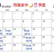 ヒメ日記 2025/09/28 13:11 投稿 まや 月兎（GET）