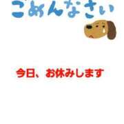 ヒメ日記 2025/10/22 12:48 投稿 まや 月兎（GET）