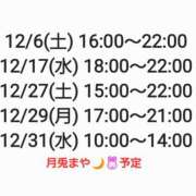 ヒメ日記 2025/12/01 13:06 投稿 まや 月兎（GET）