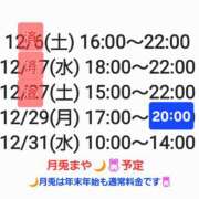 ヒメ日記 2025/12/29 00:26 投稿 まや 月兎（GET）