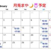 ヒメ日記 2026/02/01 10:22 投稿 まや 月兎（GET）