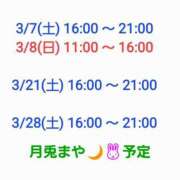 ヒメ日記 2026/02/26 06:19 投稿 まや 月兎（GET）