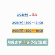 ヒメ日記 2026/03/10 21:12 投稿 まや 月兎（GET）