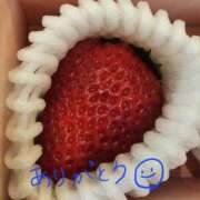 ヒメ日記 2026/03/29 22:40 投稿 まや 月兎（GET）