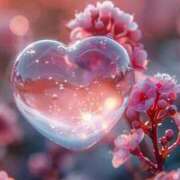 ヒメ日記 2025/01/18 12:26 投稿 あおい 待ちナビ