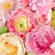 ヒメ日記 2025/01/21 17:19 投稿 あおい 待ちナビ