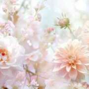 ヒメ日記 2025/01/21 21:45 投稿 あおい 待ちナビ