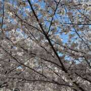 ヒメ日記 2025/04/03 09:36 投稿 あおい 待ちナビ