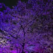 ヒメ日記 2025/04/03 11:46 投稿 あおい 待ちナビ