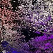 ヒメ日記 2025/04/07 11:05 投稿 あおい 待ちナビ