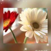 ヒメ日記 2025/09/11 08:15 投稿 しずか アバンチュール（難波）