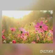 ヒメ日記 2025/09/21 08:02 投稿 しずか アバンチュール（難波）