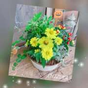 しずか 彩りを♡ アバンチュール（難波）