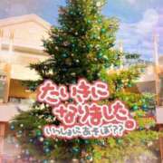 ヒメ日記 2023/11/09 14:11 投稿 さとみ ぽっちゃり巨乳素人専門横浜関内伊勢佐木町ちゃんこ